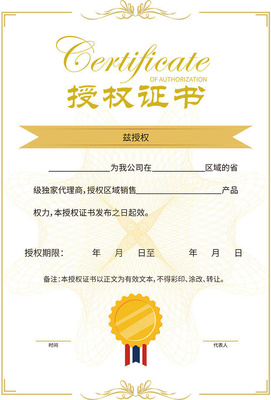 网络技术服务代理授权书设计模板